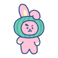 Watermelon Cooky GIF by BT21