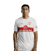 Happy Football Sticker by VfB Stuttgart