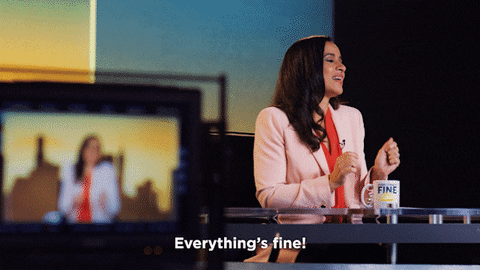 Netflix Is A Joke Everythings Fine GIF by NETFLIX