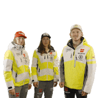 Ski Dsv Sticker by Wuerth Germany