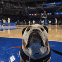 Happy Butler Basketball GIF by Butler University