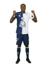Liga Mx Mexico Sticker by Club Pachuca Tuzos