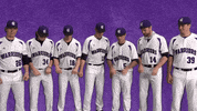 Baseball Warriors GIF by WinonaStateATH