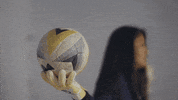 GoMastodons womens soccer pfw mastodons purdue fort wayne GIF