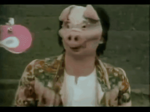 margaretgunning giphygifmaker GIF