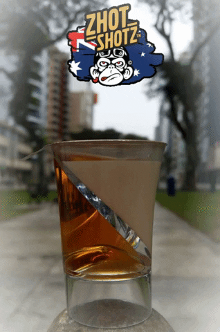 Shot Drink Up GIF by Zhot Shotz