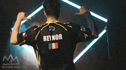 Italian Stallion Esports GIF by BASILISK Research