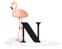 design pink Sticker by Natuzzi