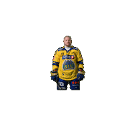 Hjelm Sticker by Storhamar Hockey