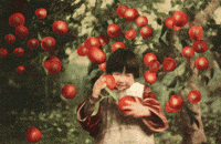 Apples Apple Picking GIF by GIF IT UP