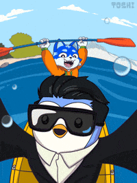 Tom Lee Cat GIF by Toshithecat