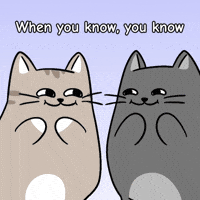 Best Friends Smirk GIF by MESA My Emotional Support Animal