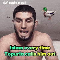 Islam Makhachev Ufc GIF