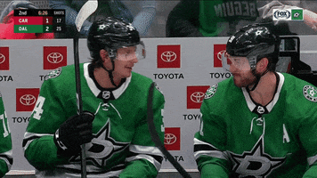 FOXSportsSW friends celebrate hockey nhl GIF
