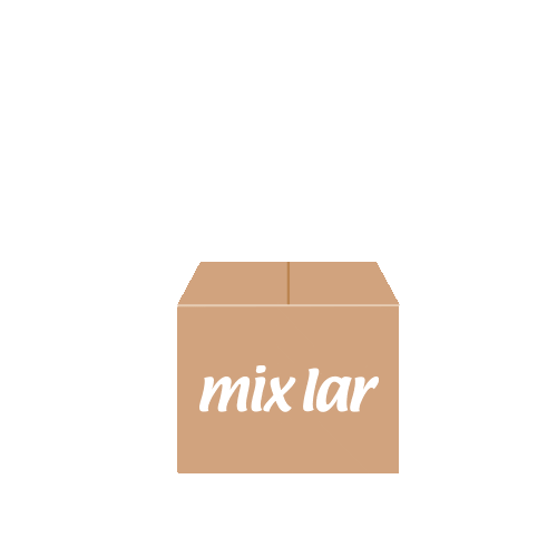Recebidos Encomenda Sticker by Mix Lar