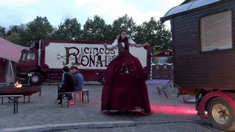 michvaneynde3037 giphygifmaker GIF