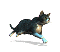 cat STICKER