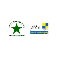 Sport Heerlen Sticker by Groene ster