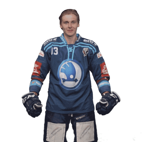 Hockey Thumbs Up Sticker by HC Škoda Plzeň