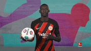 Eintracht Frankfurt Spinning GIF by Bundesliga