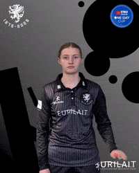 Dance Party GIF by Somerset County Cricket Club