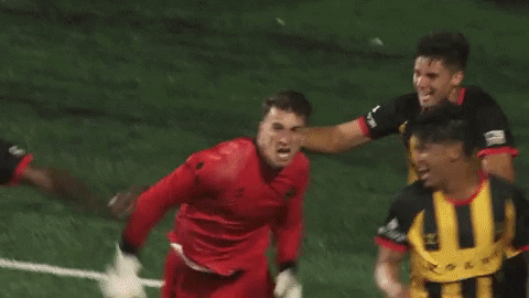 Usl Championship Party GIF by Charleston Battery