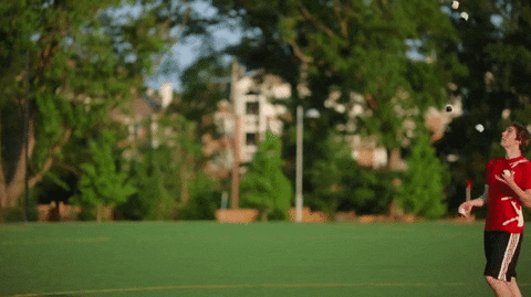 walk park GIF