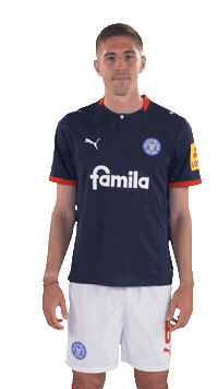 Ive Ksv Sticker by Holstein Kiel