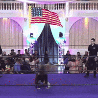 Nessa Ferrari GIF