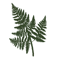 Vibes Plantas Sticker by Quimeracaminar