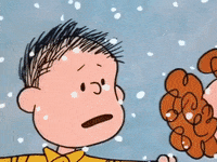 charlie brown GIF by Peanuts