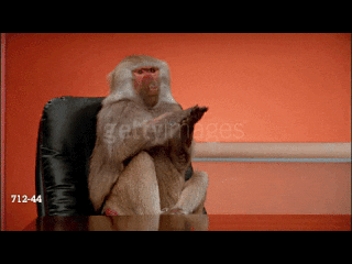 ronda rousey money GIF