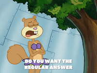 season 7 episode 22 GIF by SpongeBob SquarePants