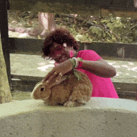Bunny Rabbit GIF
