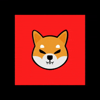 Shiba GIF by SHIB MEMES
