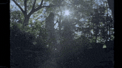 Los Angeles Girlfriend GIF by Hunter Daily