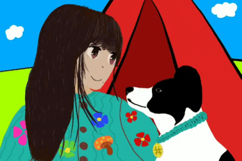 sokku  GIF