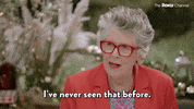 Great American Baking Show GIF by The Roku Channel