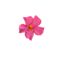 Spring Sticker by Ball Horticultural Co