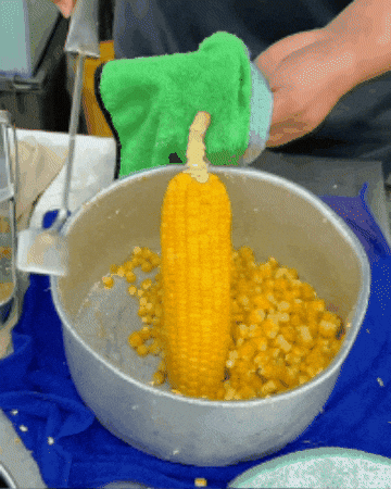 Roisse giphygifmaker GIF