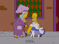 homer simpson GIF