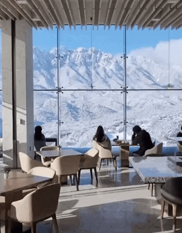 qwerpoiu22ppop giphyupload GIF