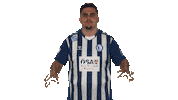 Fc Magdeburg Vbl Sticker by Bundesliga