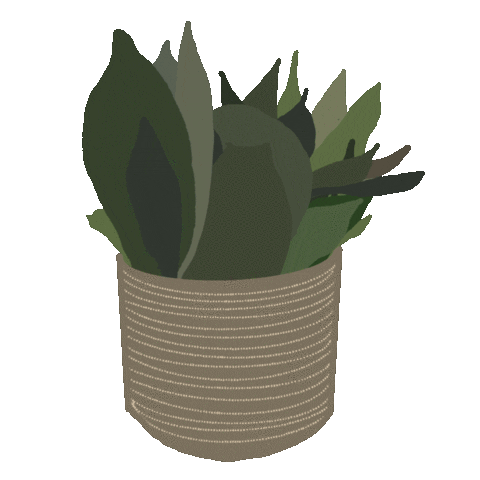 sociallightdesign illustration flower green plant Sticker