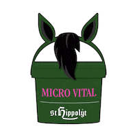 st-hippolyt horse horses pferd fell Sticker