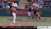 Baseball Austin GIF by Texas Longhorns