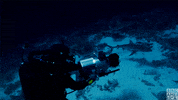 recording blue planet GIF by BBC America