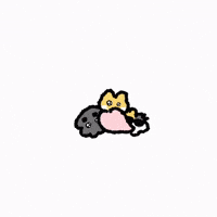 Cherry Blossoms GIF