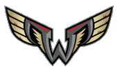 Lacrosse Philly Sticker by Philadelphia Wings