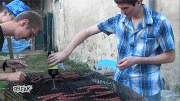 bbq GIF